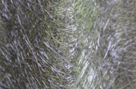 Hew Green fibreglass roof work